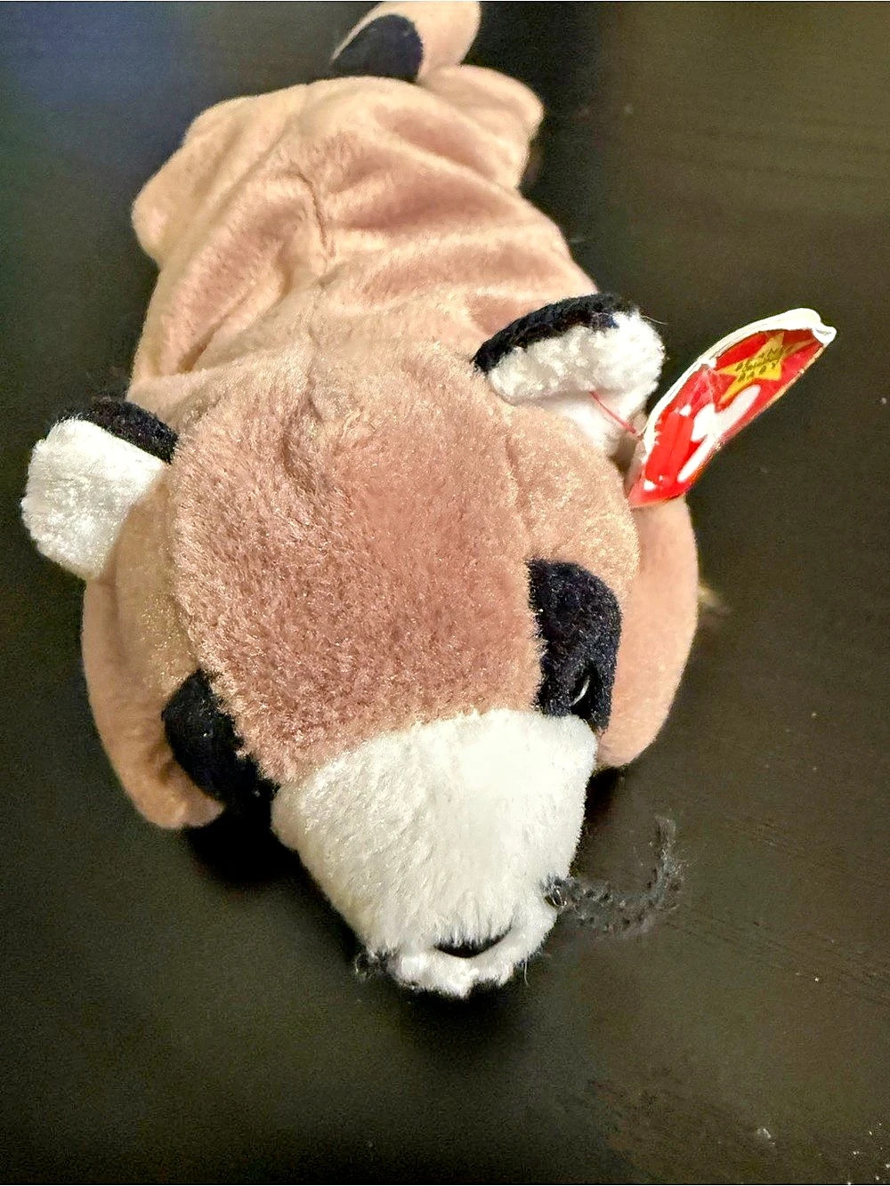 Ty Ringo the Raccoon Brown & Black Plush Cow NWT